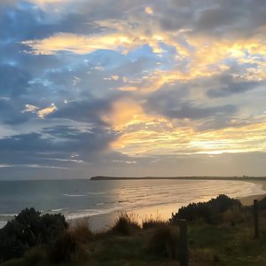 在线免费av观看
