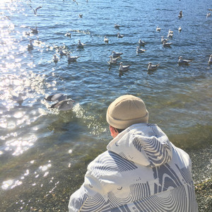 在线免费av观看
